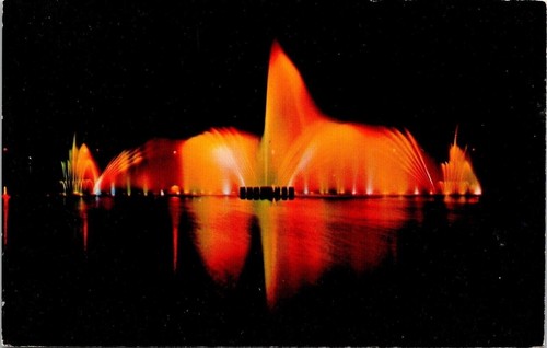 Waltzing waters cape coral - waltzing,