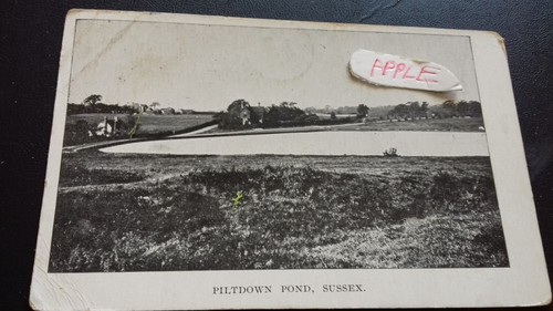 Piltdown pond sussex - piltdown,
