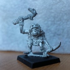 Shaman Dr Orc ORC4 Champion