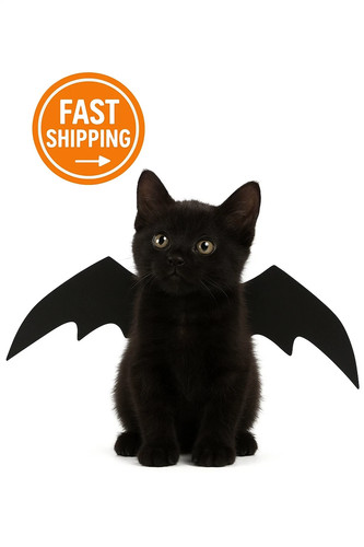 Pet cat dog - wings, costume