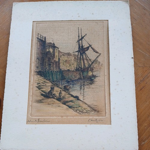 Charles brooke bird - bird, antique