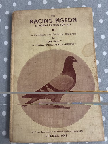 The racing pigeon - racing, &