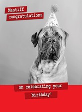 Mastiff Congratulations!  -
