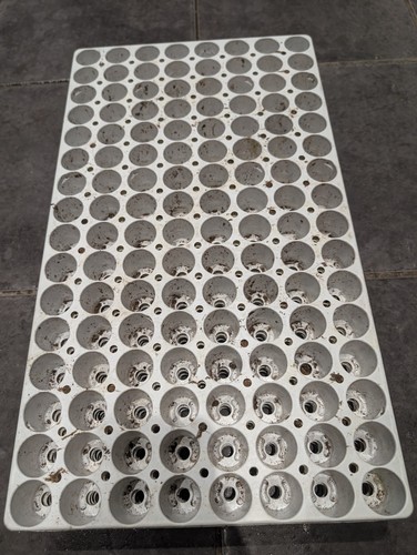 128cell modiform plug plant - plug,