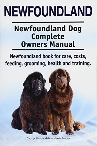 Newfoundland - newfoundland.,