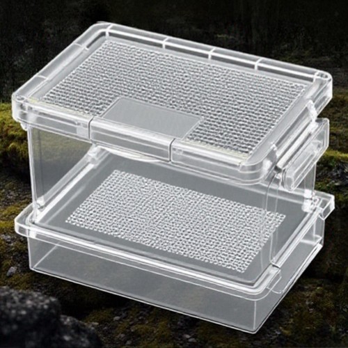 Reptile feeding box cricket - reptile,