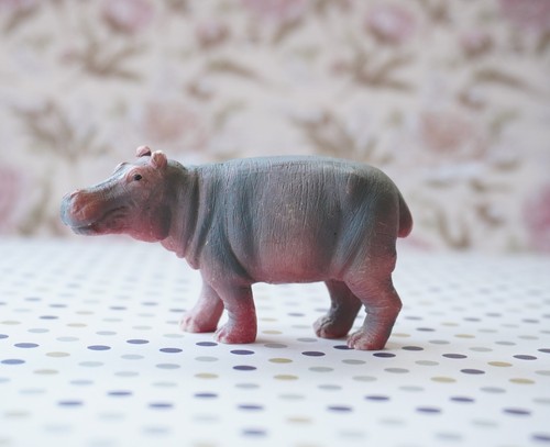 Hippo hippopotamus figure 5 - hippopotamus,