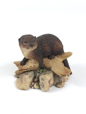 Border Fine Arts Nature's