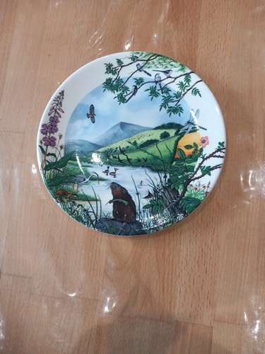 Decorative plate colin - by,