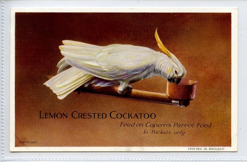 Capern bird seed - capern,