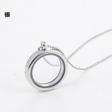 Living Memory Crystal Glass Floating Charms Locket Pendant Necklace Chain,