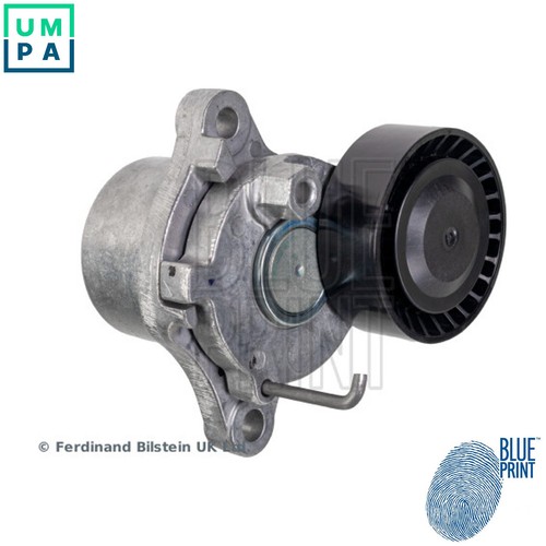 Belt tensioner vribbed - belt,