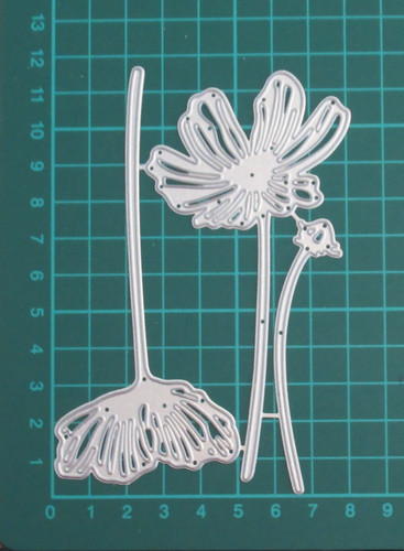 V1244 flowers poppy - v1244, poppy,