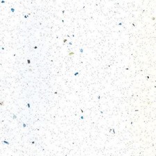 White sparkle upstand - , x