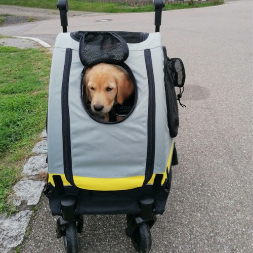 Detachble pet stroller with - stroller, 4