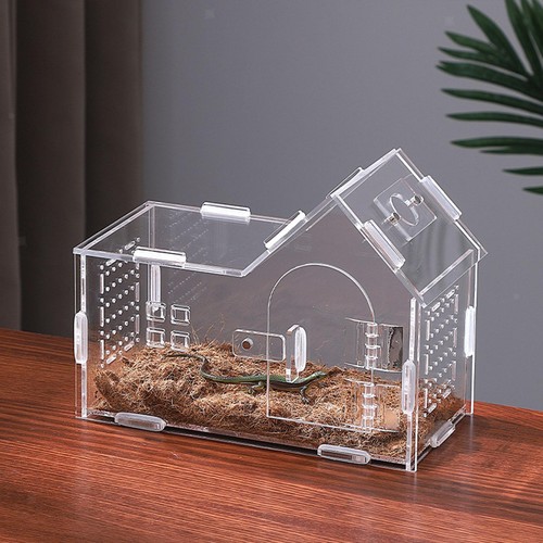 Reptile feeding box portable - feeding,