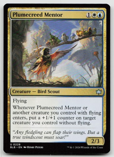 Plumecreed mentor blb 228 - -, 228]