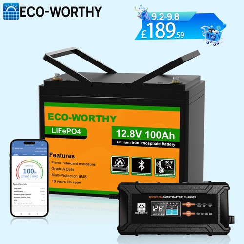 12v 100ah lifepo4 battery - 12v,
