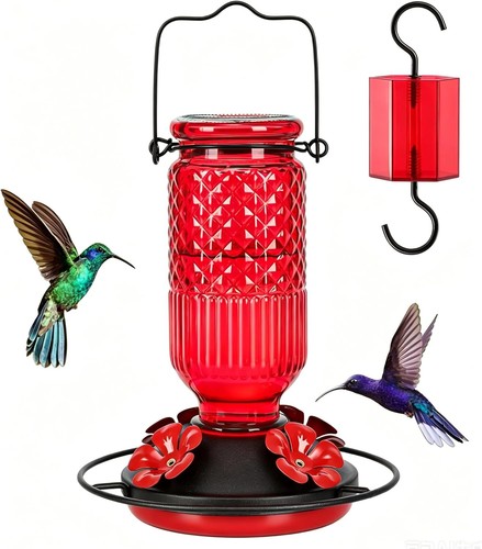 Feed garden glass hummingbird - garden,