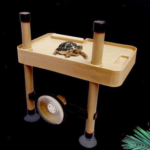 Large turtle basking platform - basking,
