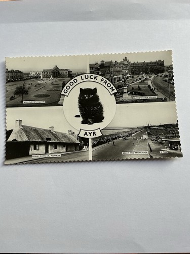 Good look from ayr postcard - from,