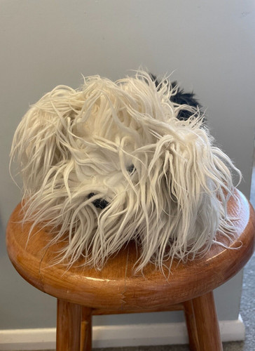 Dulux dog old english - dulux,