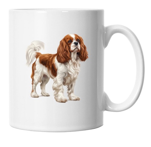 Cavalier king charles spaniel - cavalier,