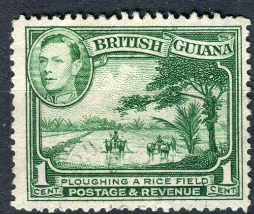 British guiana sg308 kgvi - sg308,