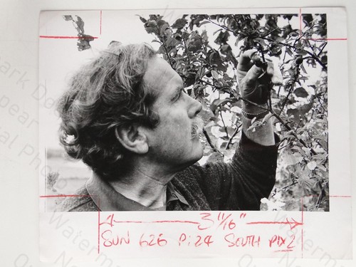 Writer oliver kite inspecting - oliver,
