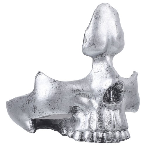 Skull shaped sunglasses - skull, holder