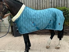 Horse Stable Rug Show Rug Faux Fur Lined 100 gsm Filling Size 5'9"-6'9"