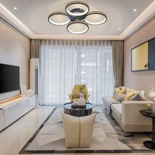 LED Chic Lamp Ceiling Light