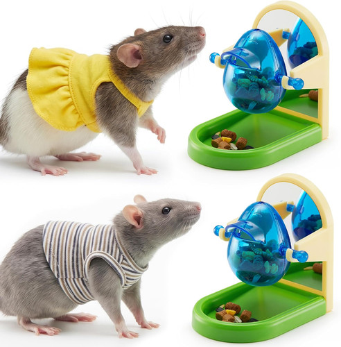 Rat enrichment toys - rat,