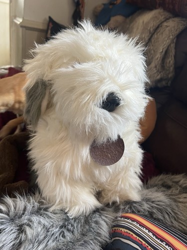 Vintage old english sheep - old, dog