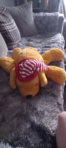Very large dog teddy - very, hat