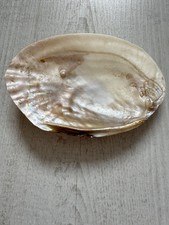 Vintage Style Natural Shell