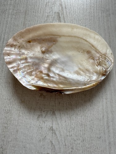 Vintage style natural - style, shell