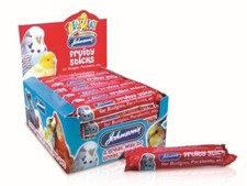 Johnsons budgie parakeet - parakeet, and