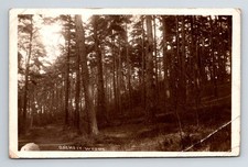 England: Oxshott Woods, Surrey. Posted Cobham, 1913.