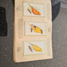 Aviary& Cage Birds Book47