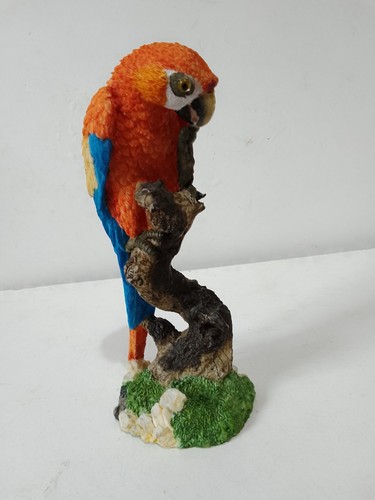 Parrot colourful - colourful,