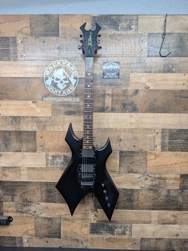 Rich guitars warlock - rich, nj