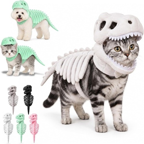 Hood outfit halloween cat - halloween,