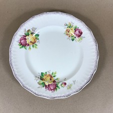 Vintage Swinnertons Luxor Vellum Floral Plate