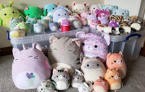 Squishmallow cats - squishmallow,