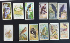 Vintage Bird Cigarette Card