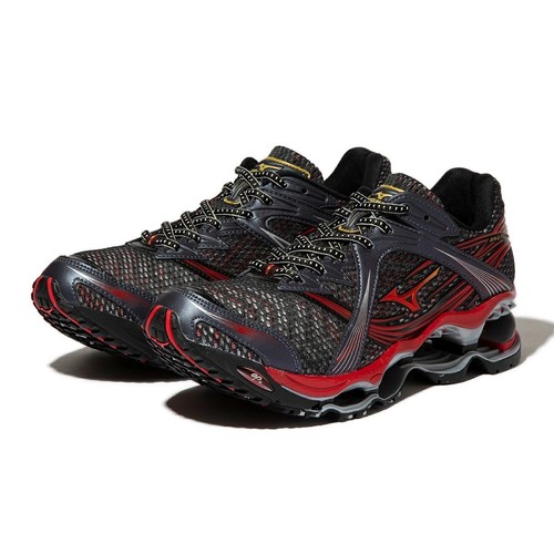 Mizuno wave prophecy - mizuno,
