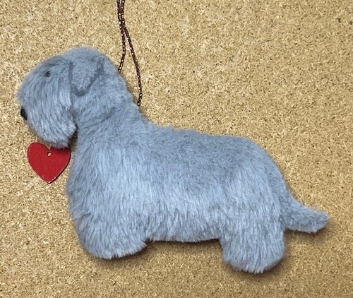 Cesky terrier with red - cesky, a