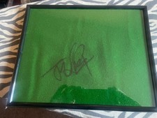 Ding Junhui Chinese Snooker