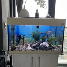 Quality aquarium complete - quality,